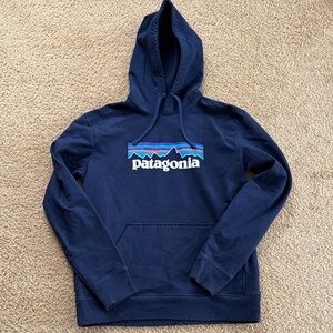 Patagonia Men's Blue Hoodie Sweater